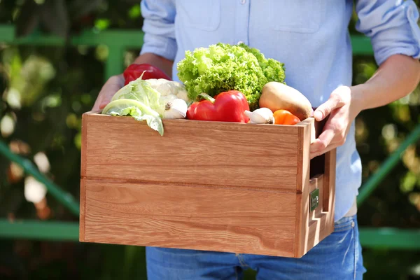 Warzywa w pudełku — Zdjęcie stockowe