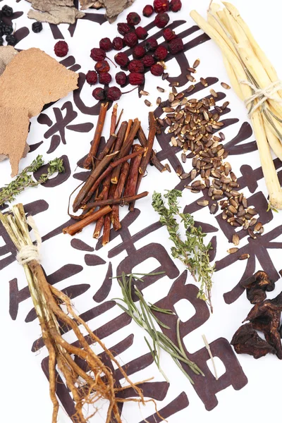 Ingredientes tradicionales de la medicina herbal china — Foto de Stock