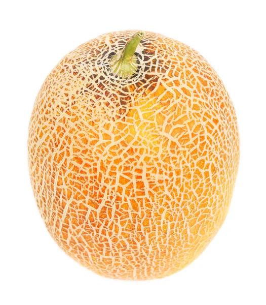 Melon isolerad på vitt — Stockfoto