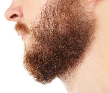 Uzun sakal closeup