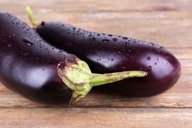 나무에 aubergines