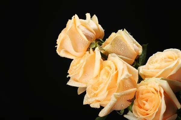 Kauniita ruusuja — kuvapankkivalokuva