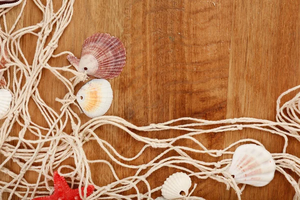 Seashells on wooden background — Stock Photo, Image