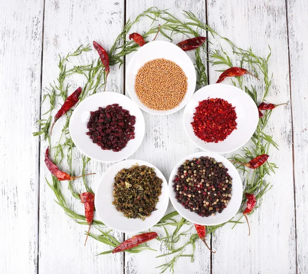 Spice with herbs and chilly pepper — Stock Photo, Image