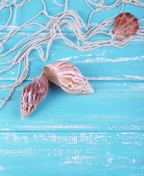 Decor of seashells — Stock Photo, Image