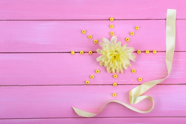 Beautiful chrysanthemum flower on pink wooden background — Stock Photo, Image