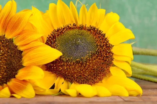 Schöne Sonnenblumen auf Holzgrund — Stockfoto