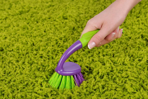 Cleaning carpet with brush close up — Stock Photo, Image