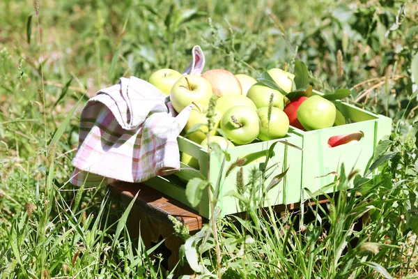 Μήλα σε ξύλινο κουτί — Φωτογραφία Αρχείου