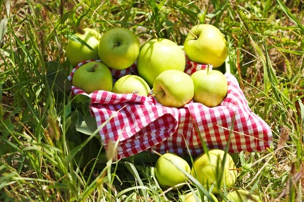 Manzanas en caja de madera —  Fotos de Stock