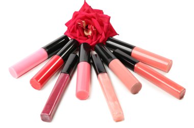 dudak parlatıcıları