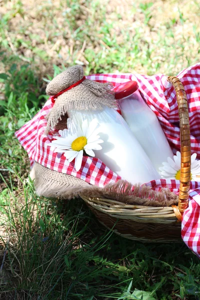Sabroso bocadillo en cesta sobre fondo herboso para pasar un buen fin de semana en un parque —  Fotos de Stock
