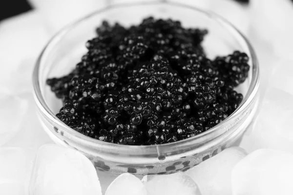 Caviale nero — Foto Stock