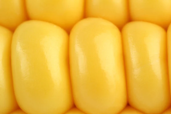 Кукуруза крупным планом — стоковое фото