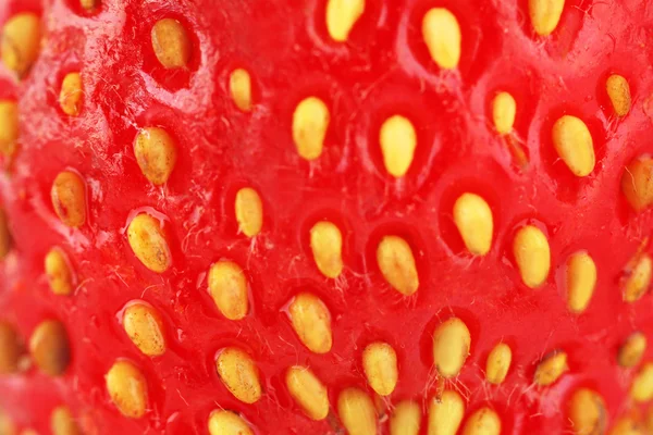 Strawberry close-up — Stock Photo, Image