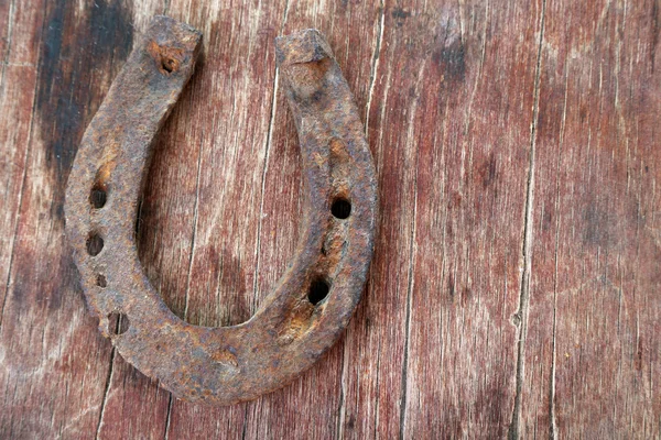 Zapato de caballo viejo —  Fotos de Stock