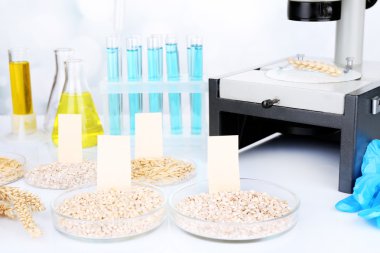 Mikrobiyolojik gıda için testleri