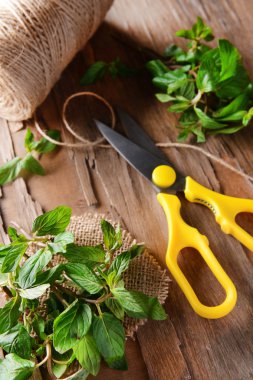 Tablo yakın çekim nane