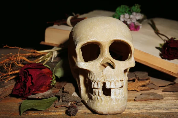 Calavera humana con rosa seca — Foto de Stock