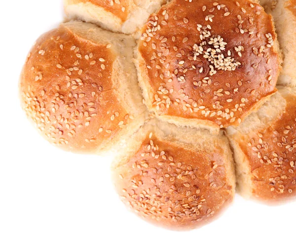 芝麻白上孤立的美味面包 — 图库照片