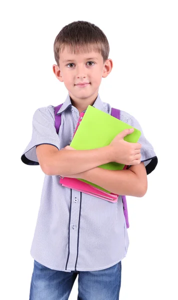 Little nice schoolboy — Stock Photo, Image