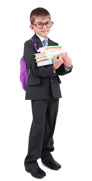 Little nice schoolboy — Stock Photo, Image