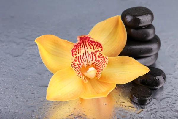 Sárga trópusi orchidea — Stock Fotó
