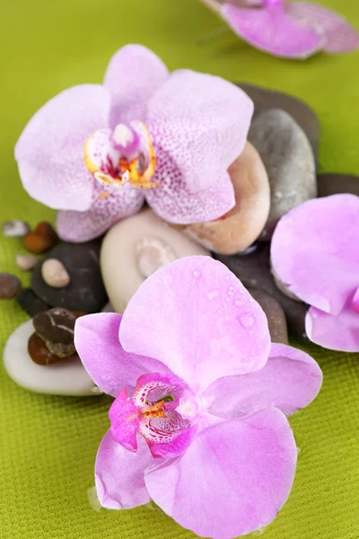 Flores e pedras de orquídea — Fotografia de Stock