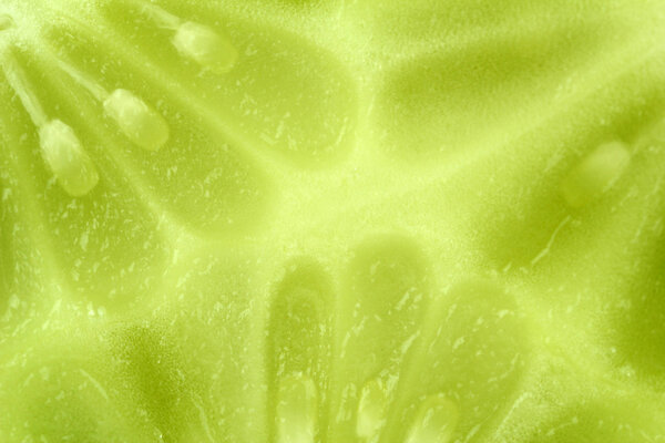 Cucumber close-up