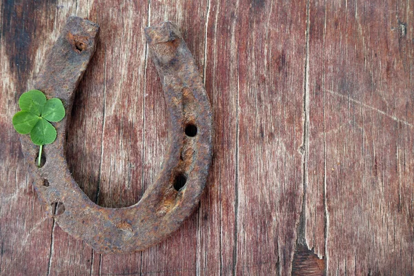 Oude schoen van het paard — Stockfoto