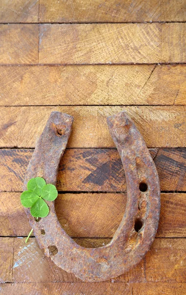 Sapato de cavalo velho — Fotografia de Stock