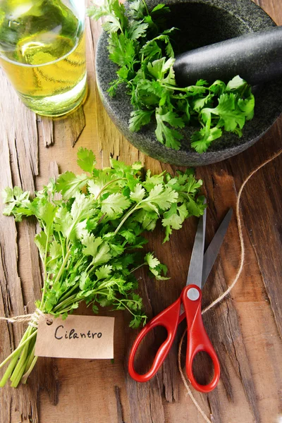 Cilantro on table close-up — Stock Photo, Image