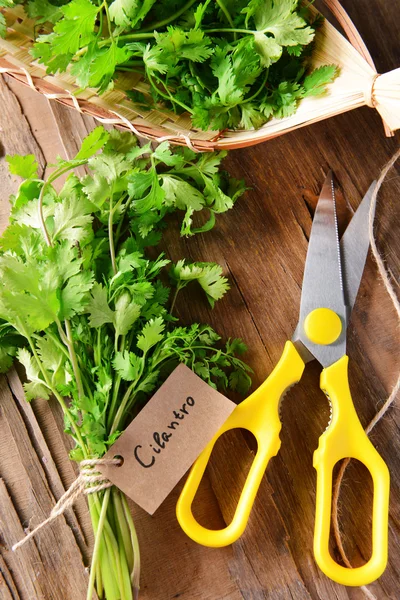 Cilantro on table close-up — Stock Photo, Image