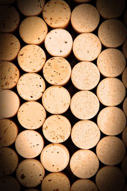 şarap mantarlar yakın çekim