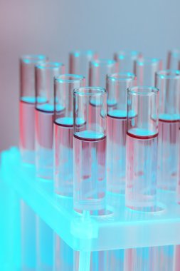 gri zemin üzerine sıvı ile test tüpleri