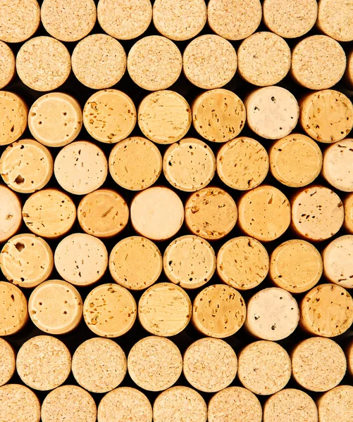 Wine corks close up — Stock Photo, Image