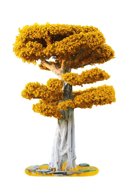 가 큰 오래 된 나무 — 스톡 사진