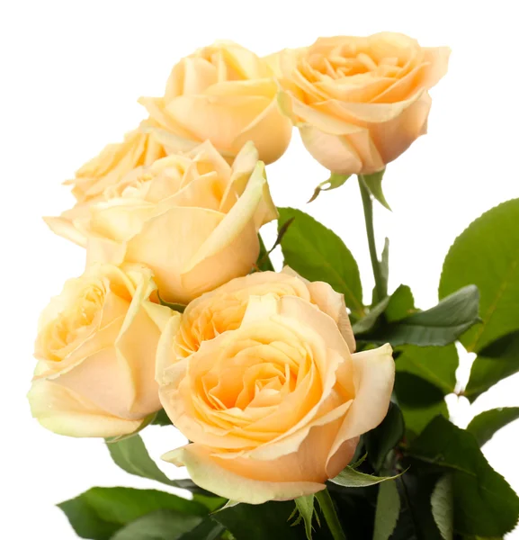 Bouquet di belle rose isolate su bianco — Foto Stock