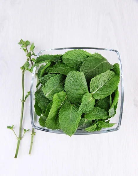 Glass square bowl of mint leaves on white background isolated — Stock Photo, Image