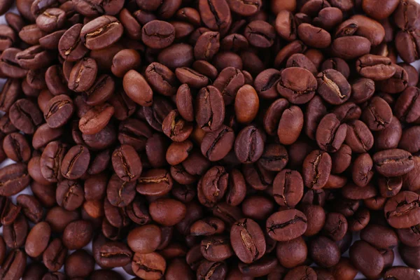 白色的特写一个孤立的咖啡豆 — 图库照片