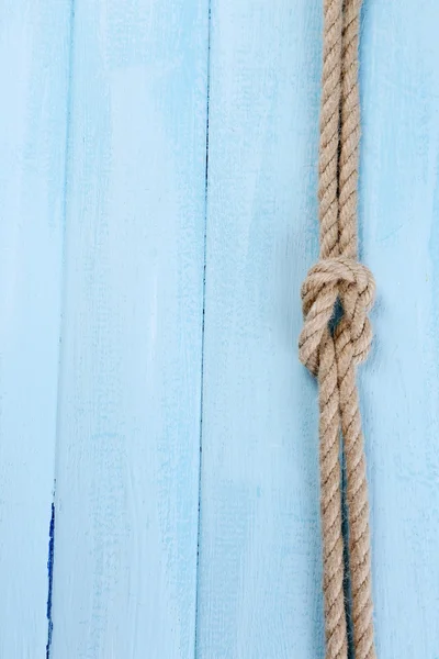 Nudo marino sobre fondo de madera —  Fotos de Stock