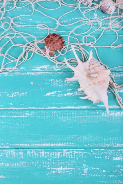 Decoração de conchas na mesa — Fotografia de Stock
