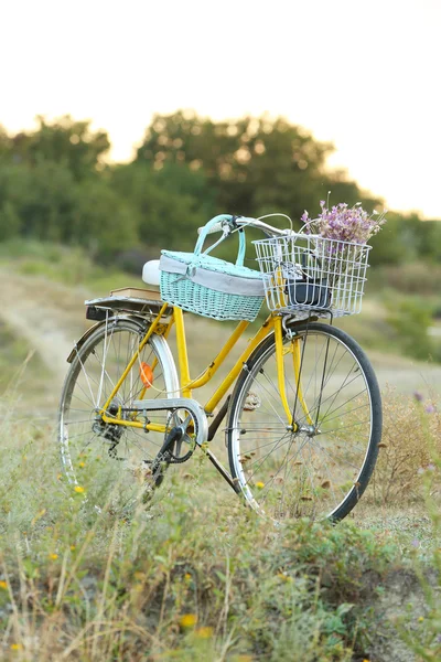 Cykel i ängen under solnedgången — Stockfoto