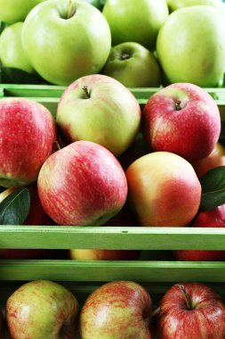 Sulu elma, yakın çekim