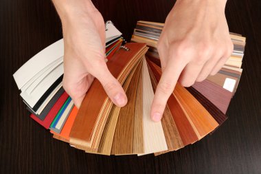 mobilya için renk paleti