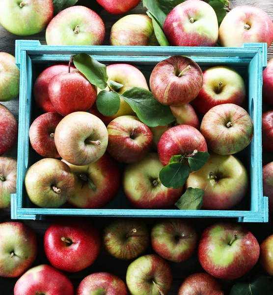 Juicy apples in box, close-up — Stock Photo, Image