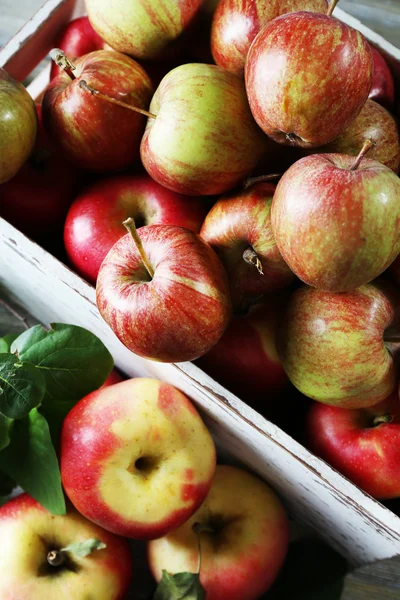 Сочные яблоки в коробке, крупным планом — стоковое фото