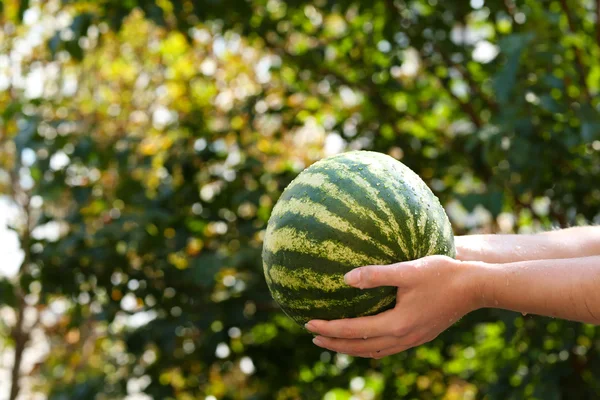 Washing vegetables — Stock Photo, Image