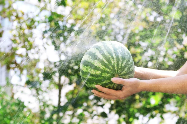 野菜の洗浄 — ストック写真