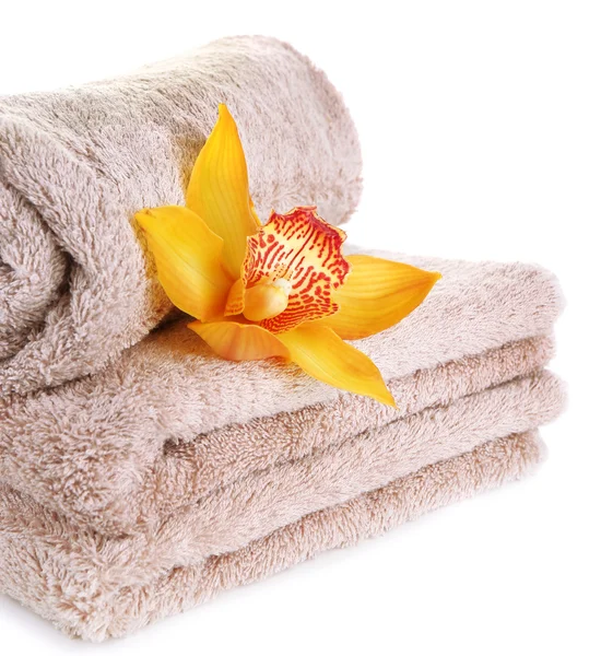 Orchid flower and towels — Stock Photo, Image